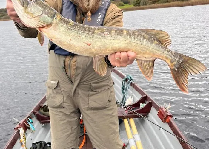 Appartement Thatched 2persons